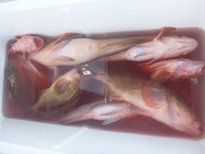 アコテン！！！ - [5/9]