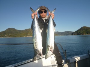 青物！！！ - [3/3]