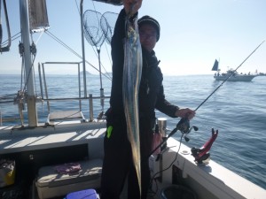 太刀魚！！！ - [1/10]