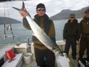 青物！！！ - [1/3]