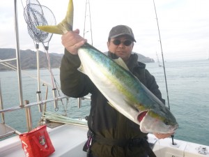 青物！！！ - [2/3]