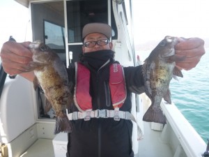 メバル！！！ - [5/5]