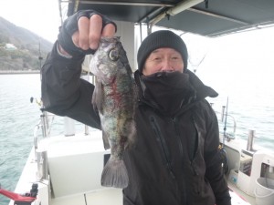 メバル！！！ - [3/3]